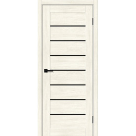 Межкомнатная дверь экошпон Браво-22 Nordic Oak / Black Shine