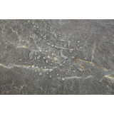 SPC Ламинат Icon Floor Marble MLX79 Мрамор Бэйкон/Marble Bacon