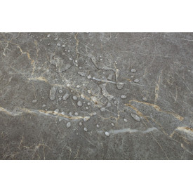 SPC Ламинат Icon Floor Marble MLX79 Мрамор Бэйкон/Marble Bacon